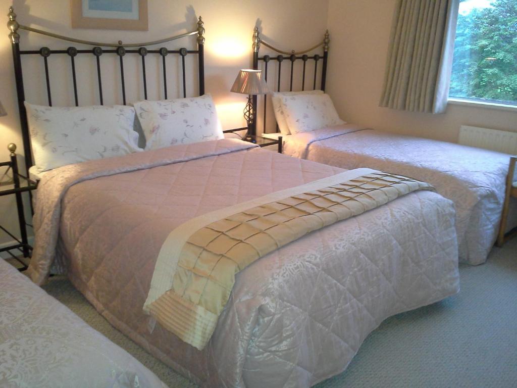 Fern Rock Bed And Breakfast Dromin Room photo
