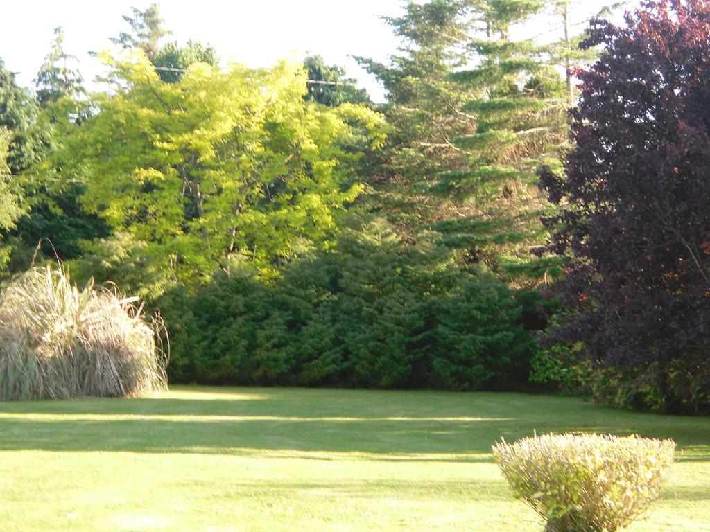 Fern Rock Bed And Breakfast Dromin Exterior photo